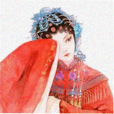 读者麦冬的头像